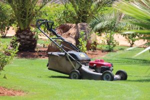 a lawn mower on a lawn