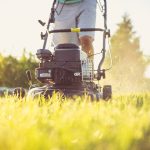 a man pushing the lawn mower