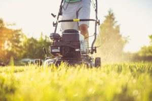 a man pushing the lawn mower